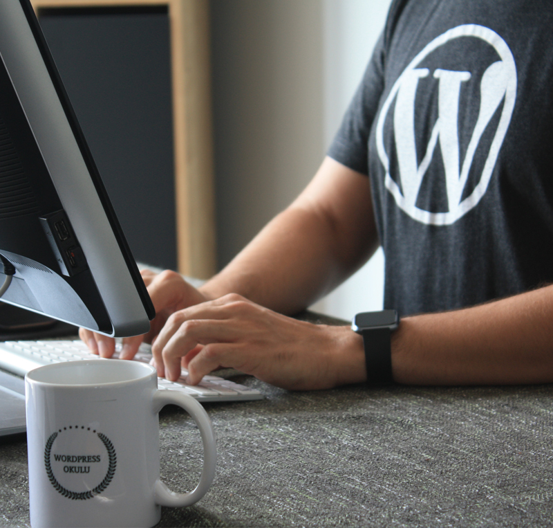 manutenzione e aggiornamento siti wordpress Abbiategrasso