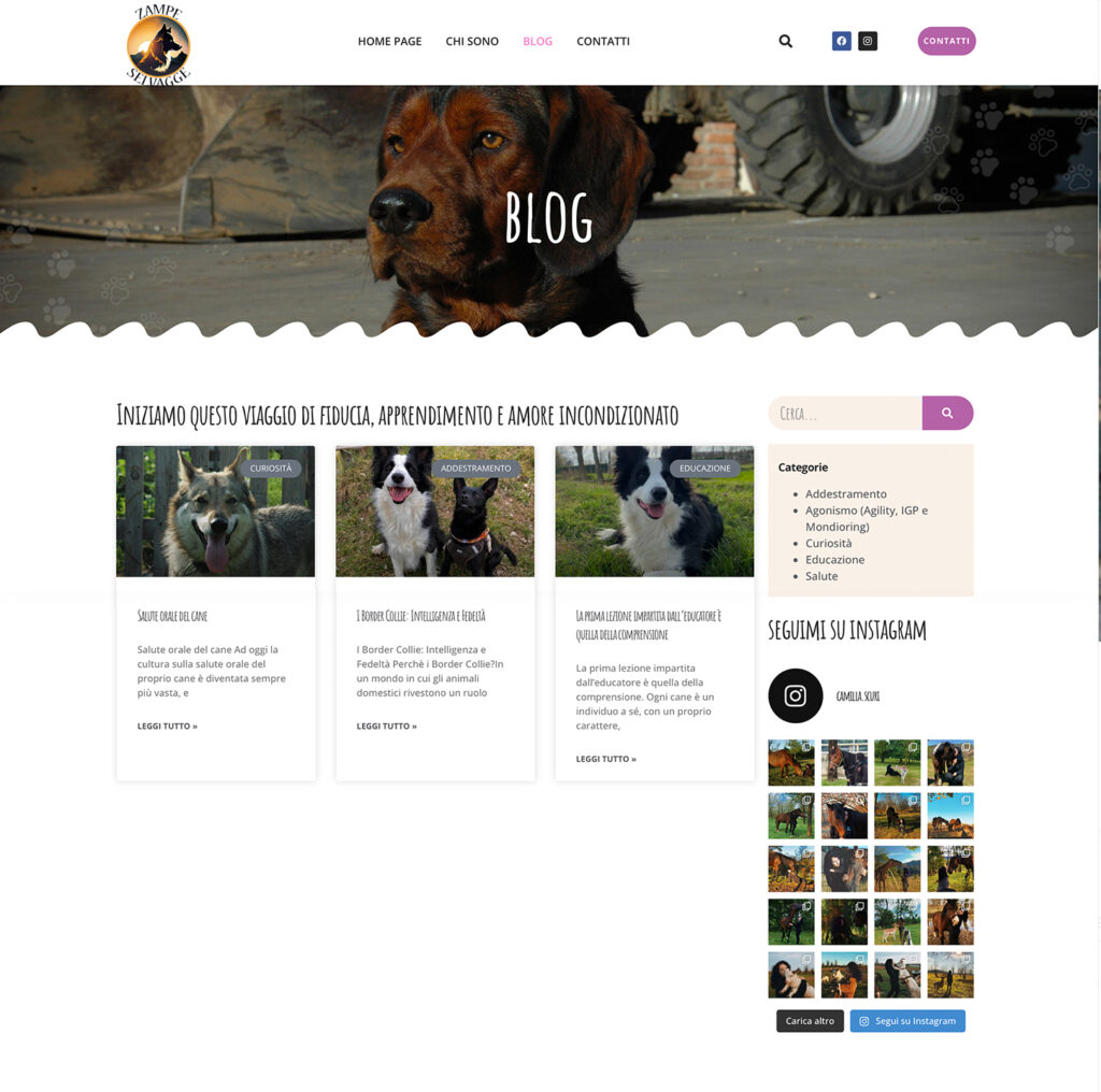 Blog semplice da gestire, sconti su creazione siti web Abbiategrasso e Robecco